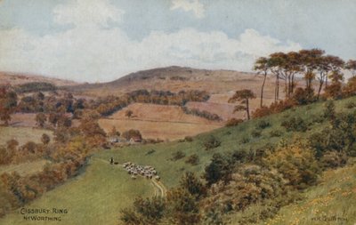 Cissbury Ring bij Worthing door Alfred Robert Quinton